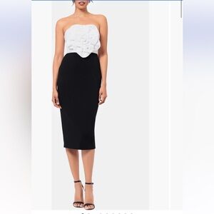 Betsy & Adam Sequin Rosette Bodice Colorblock Sheath Dress size‎ 2 NWT